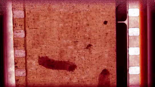 Посмотрели? Понравилось? Лайкнули? Поделились? СПАСИБО!