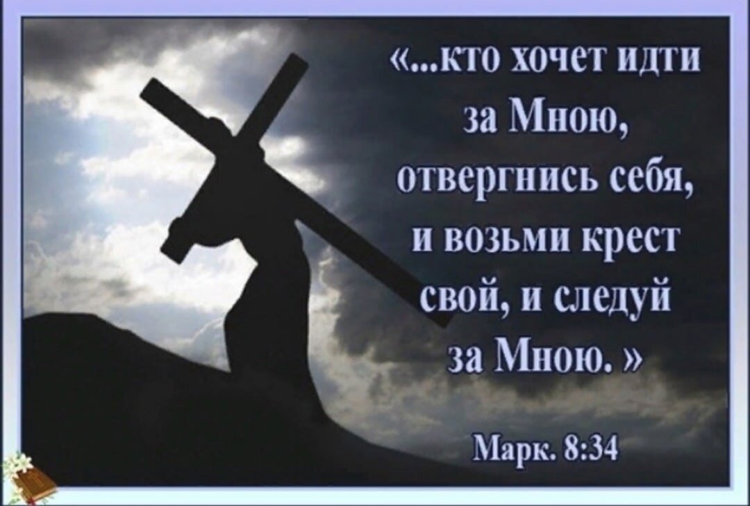 Источник: Яндекс. Картинки