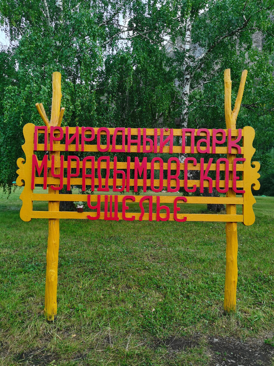 Найди Йодика! 