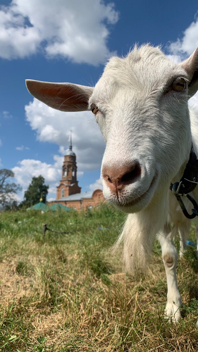 с.Солдатское, Воронежская область. 