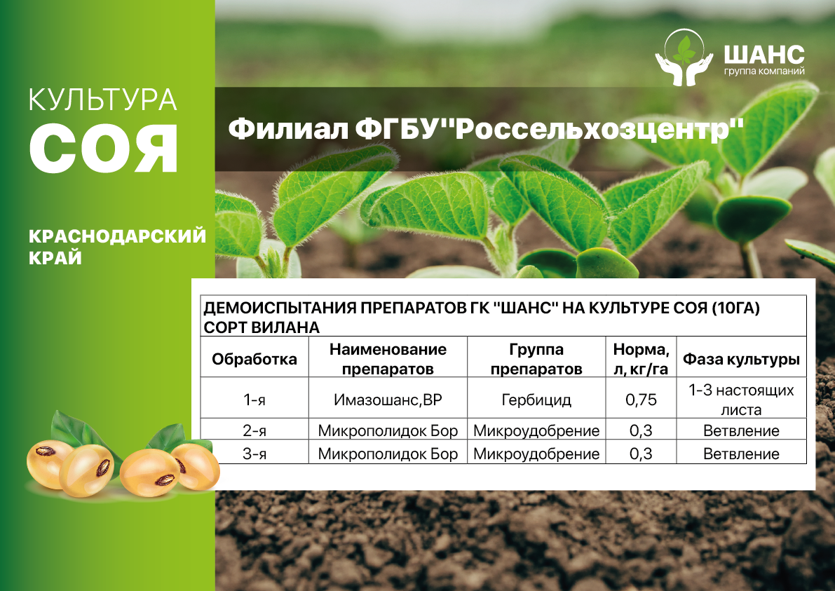 Схема защиты ГК "Шанс"