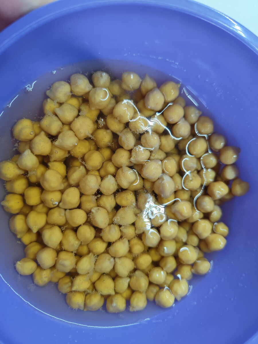 Здесь нут уже утром, простоявший в воде ночь