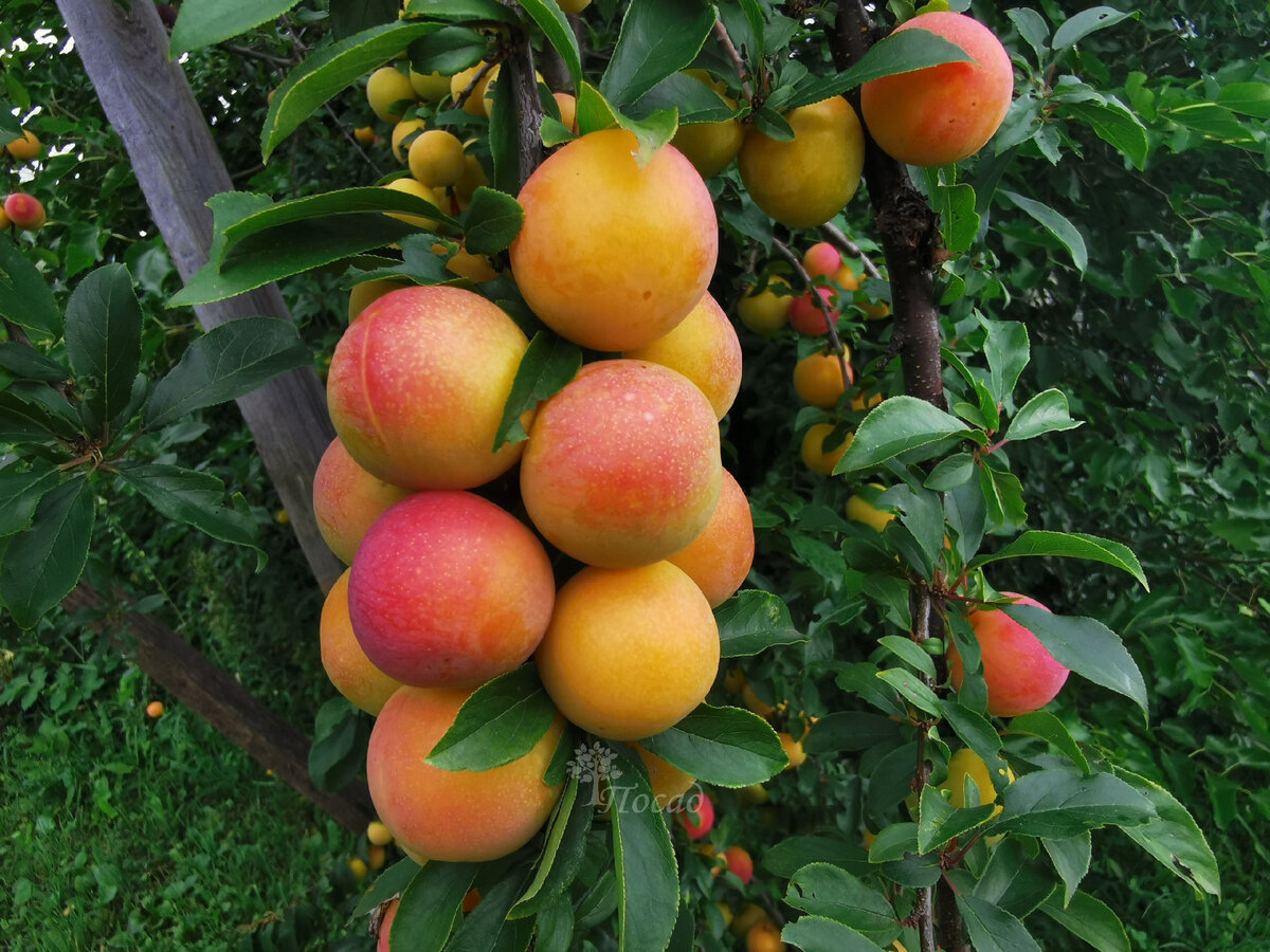 Без работы не оставит!