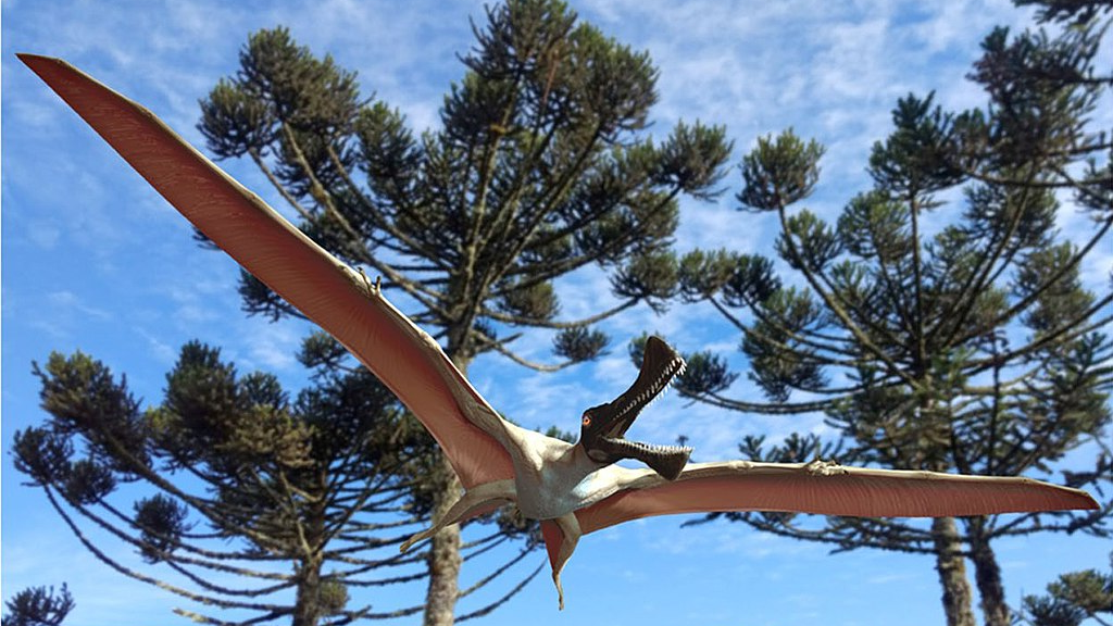 «Ничего особенного, обыкновенный крокодил с крыльями, я про такого читал» © Р. А. Хлебовводов.