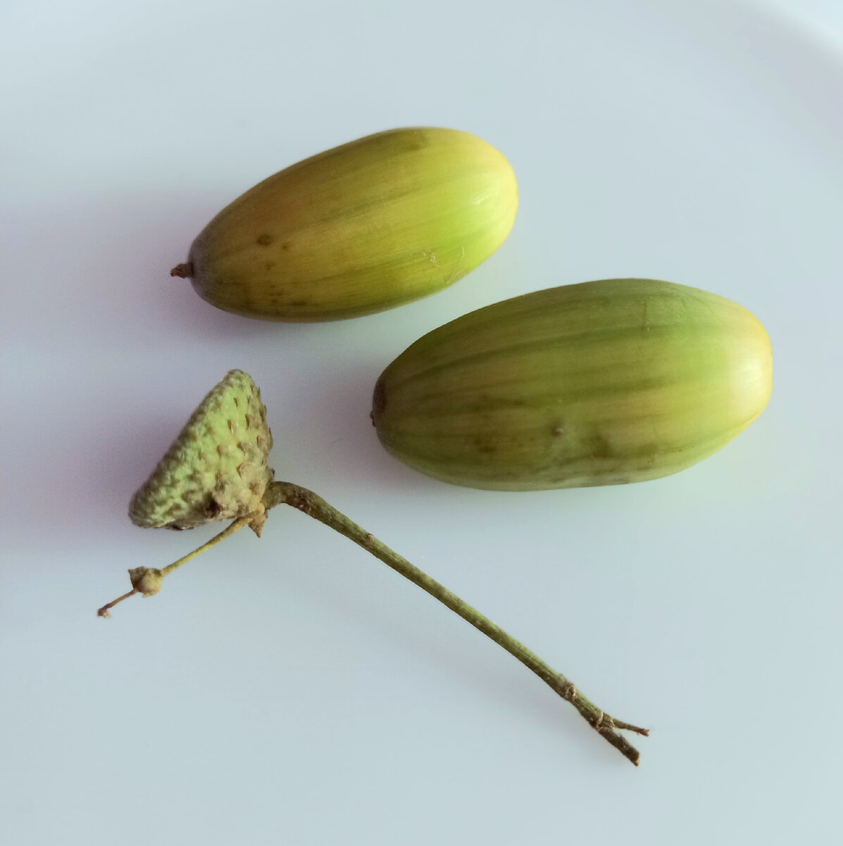 Авторское фото