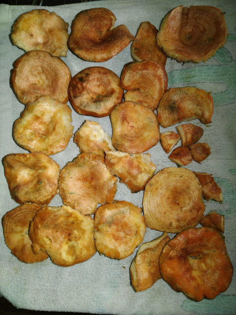 сохнут после помывки