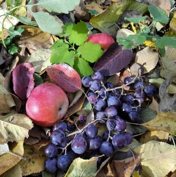 Фото с моей страницы с инсты