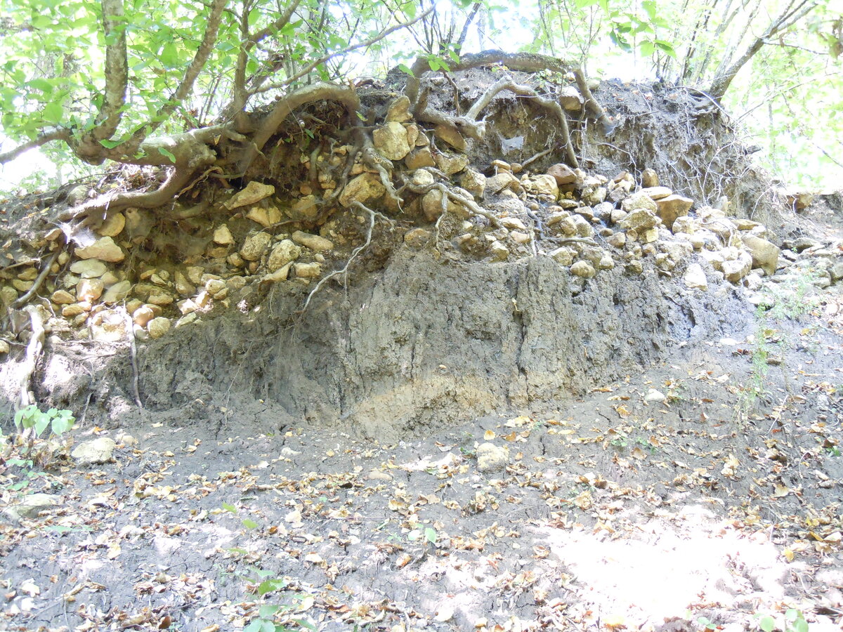 Далее переносимся к станице Новосвободной и посмотрим, как там дела с памятниками археологии в 2023 году.-15