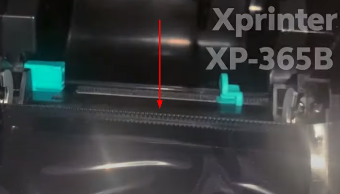 Фото 2. Показываем, где находится термоголовка у термопринтера Xprinter XP-365B 