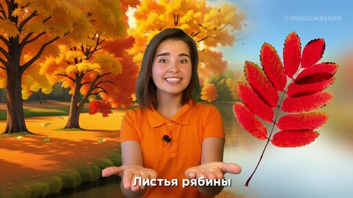 Учим название листьев. Песенка для детей 