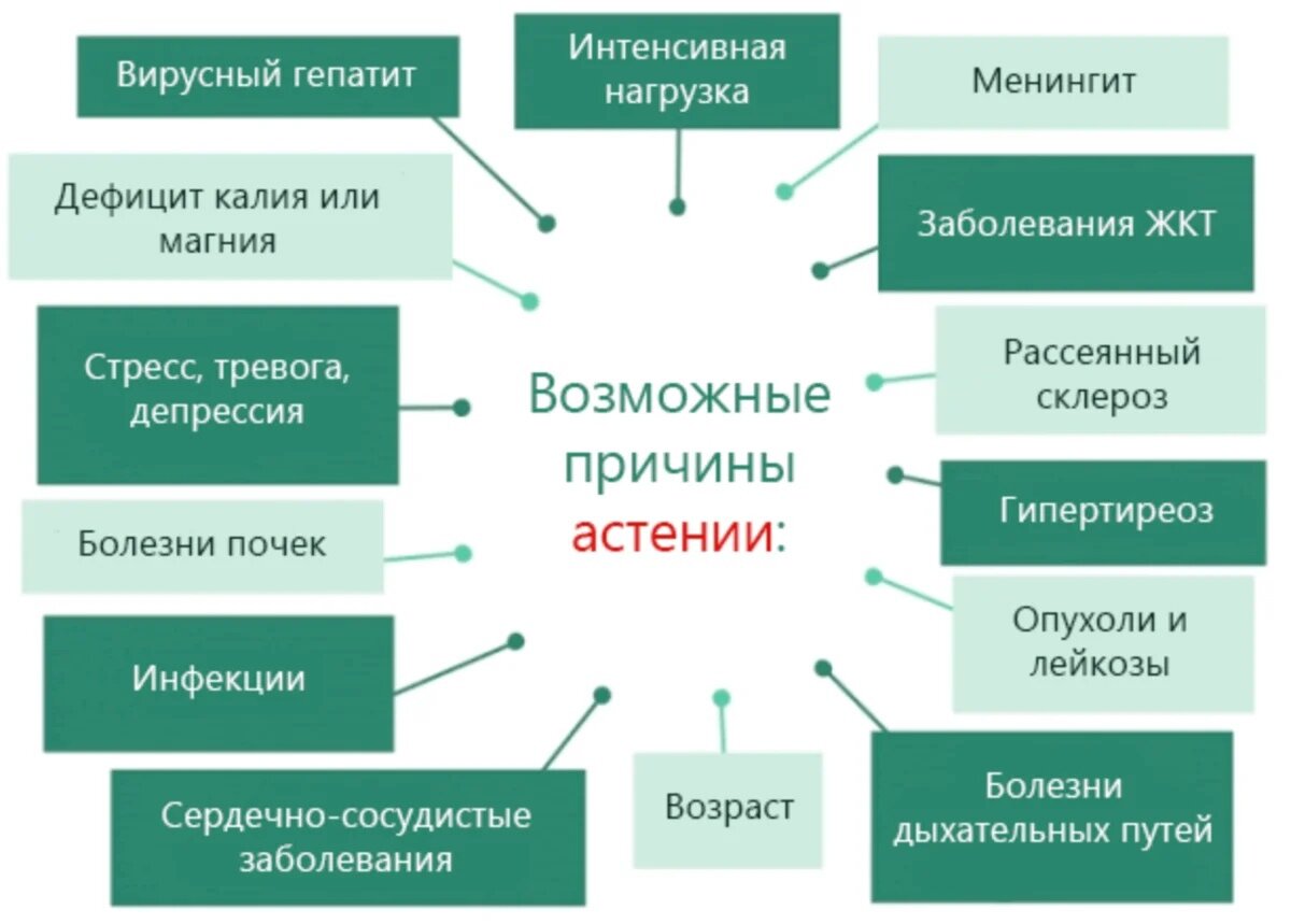 У взрослых причины лечение. Астения. Астения симптомы. Астения причины. Средства при астении.