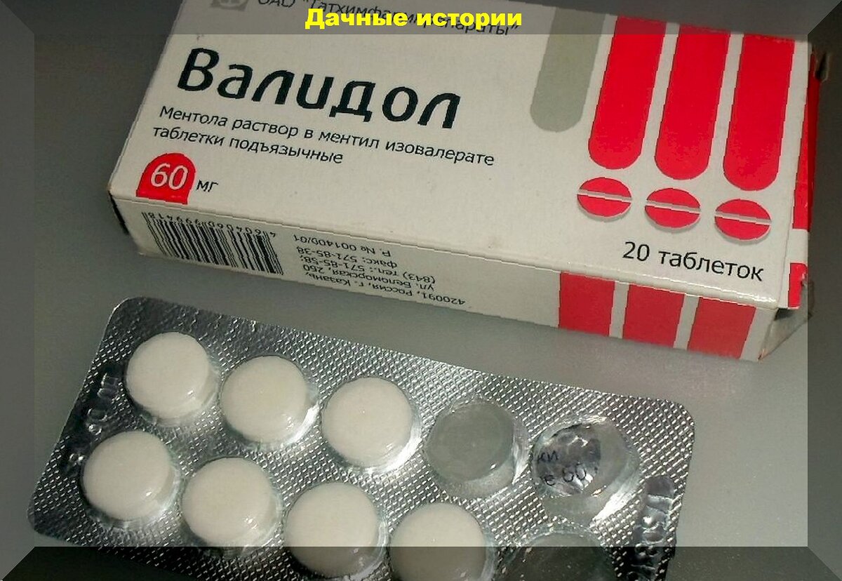 https://vk.com/photo-159774511_457261479