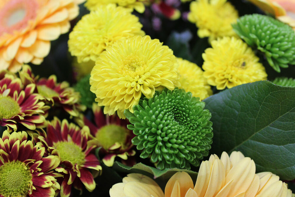 фото из архива автора