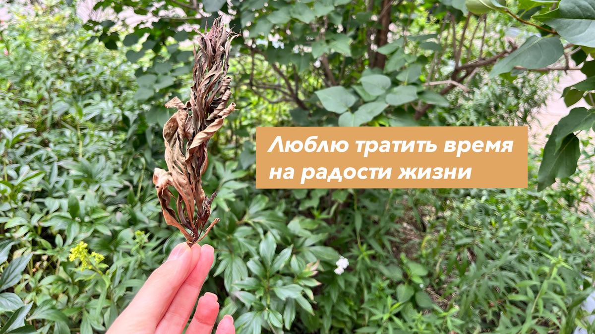 Прогулка по парку