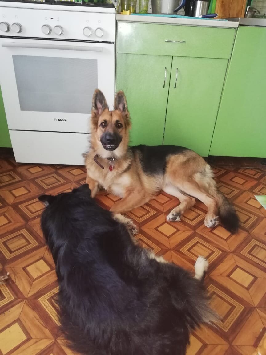 Ириска и Дина 