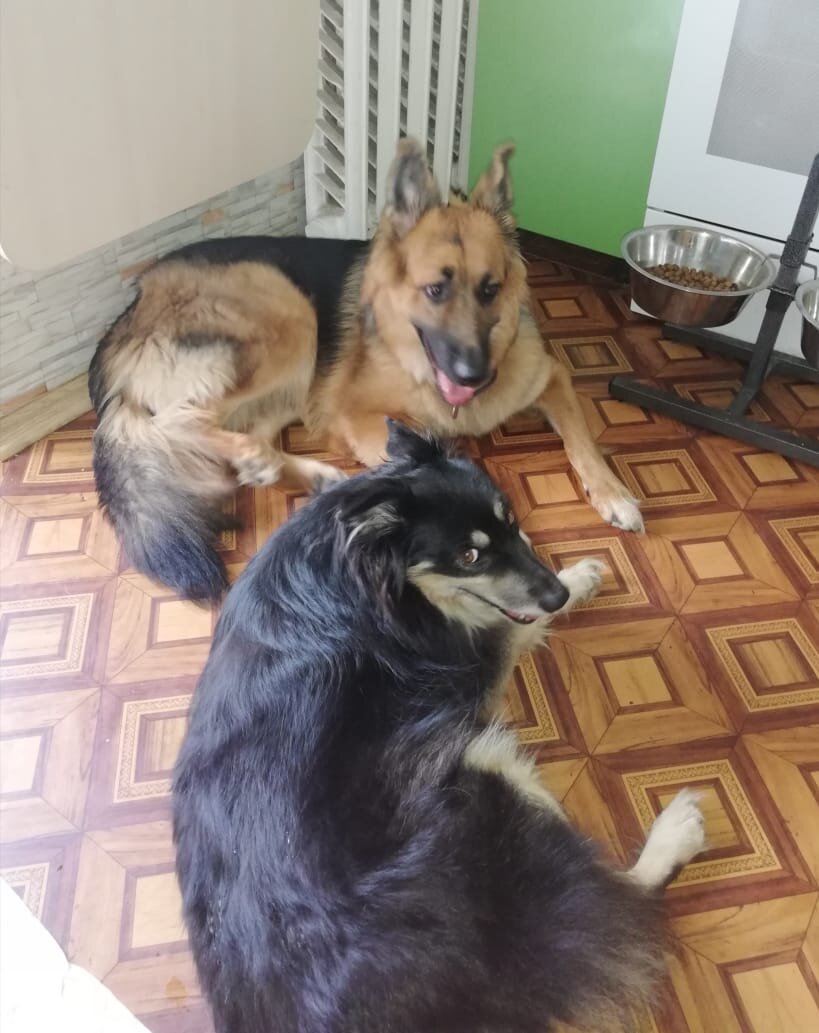 Дина и Ириска❤️