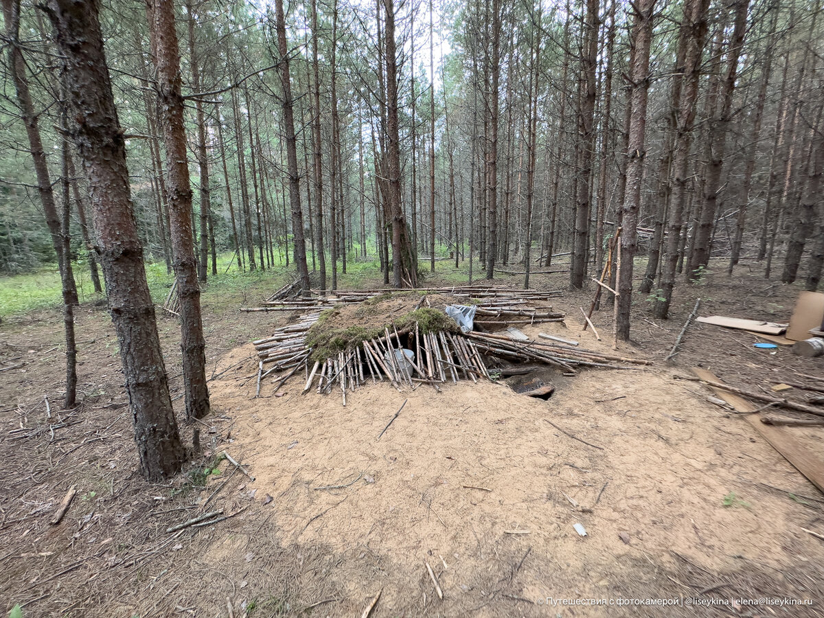 Фото землянки в лесу