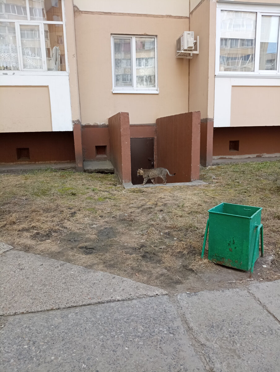 старший дворник проходит по своим объектам