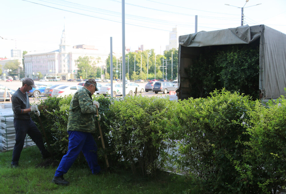 пересадка воронеж. воронеж дороги. пересадка воронеж. пересадка воронеж. пересадка крупномеров в воронеже.