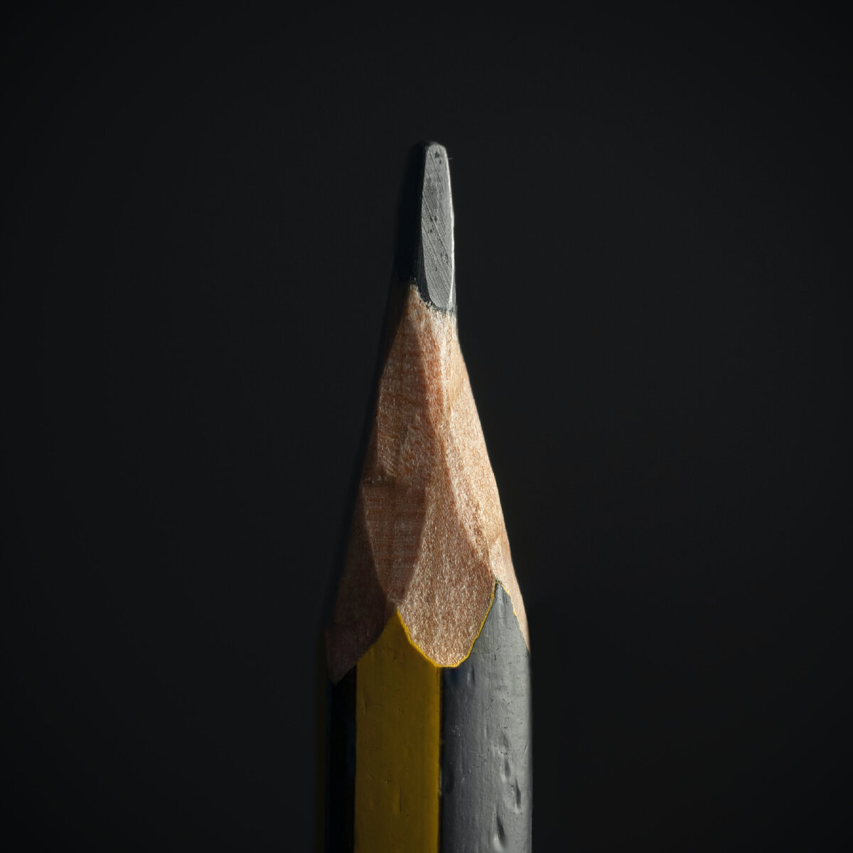 Источник unsplash.com