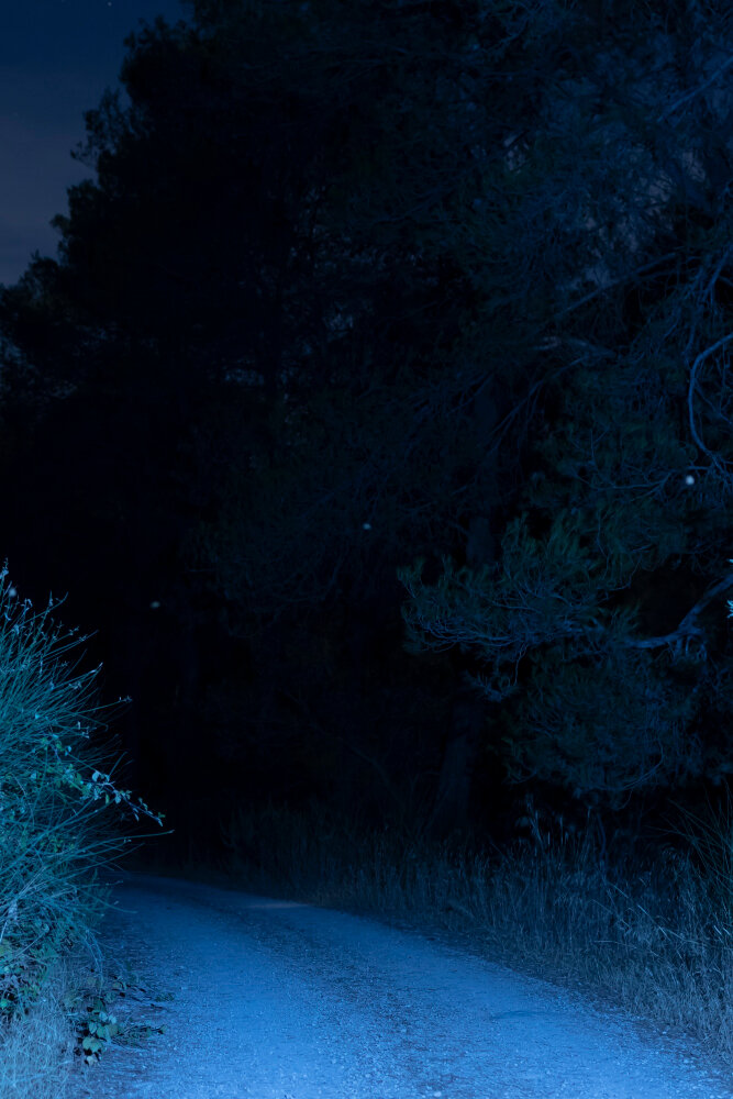 https://ru.freepik.com/free-photo/illuminated-road-in-night-time_5481653.htm#query=ночь%20лес%20луна&position=3&from_view=search&track=ais