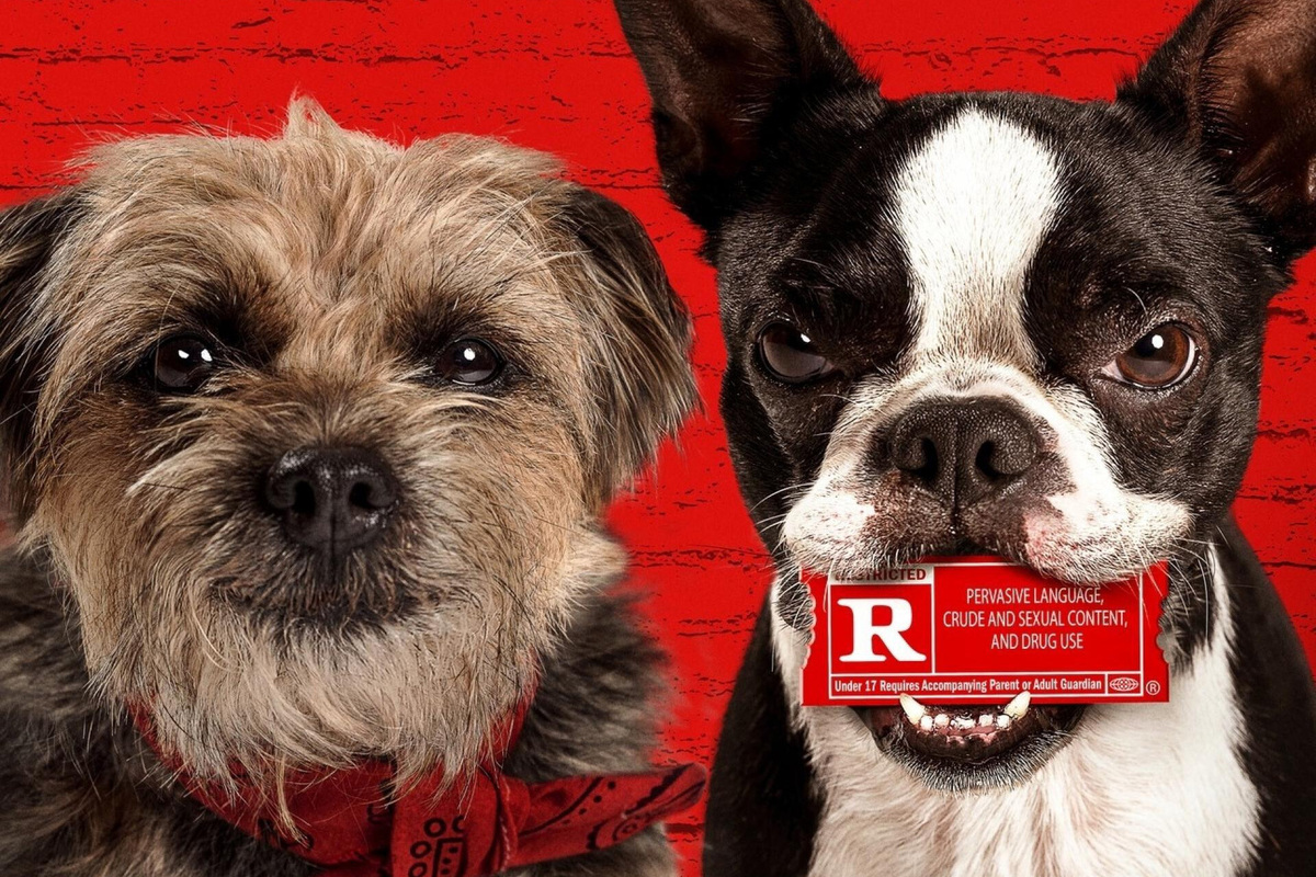     «Отвязные дворняги»: в сети появился трейлер фильма о собаках с рейтингом 18+