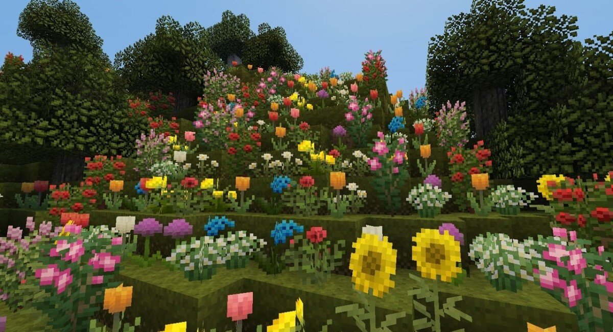 Игроки Minecraft могут выращивать растения, устроив ферму и грядки около дома. Можно выращивать всё что угодно — от пшеницы до какао-бобов.