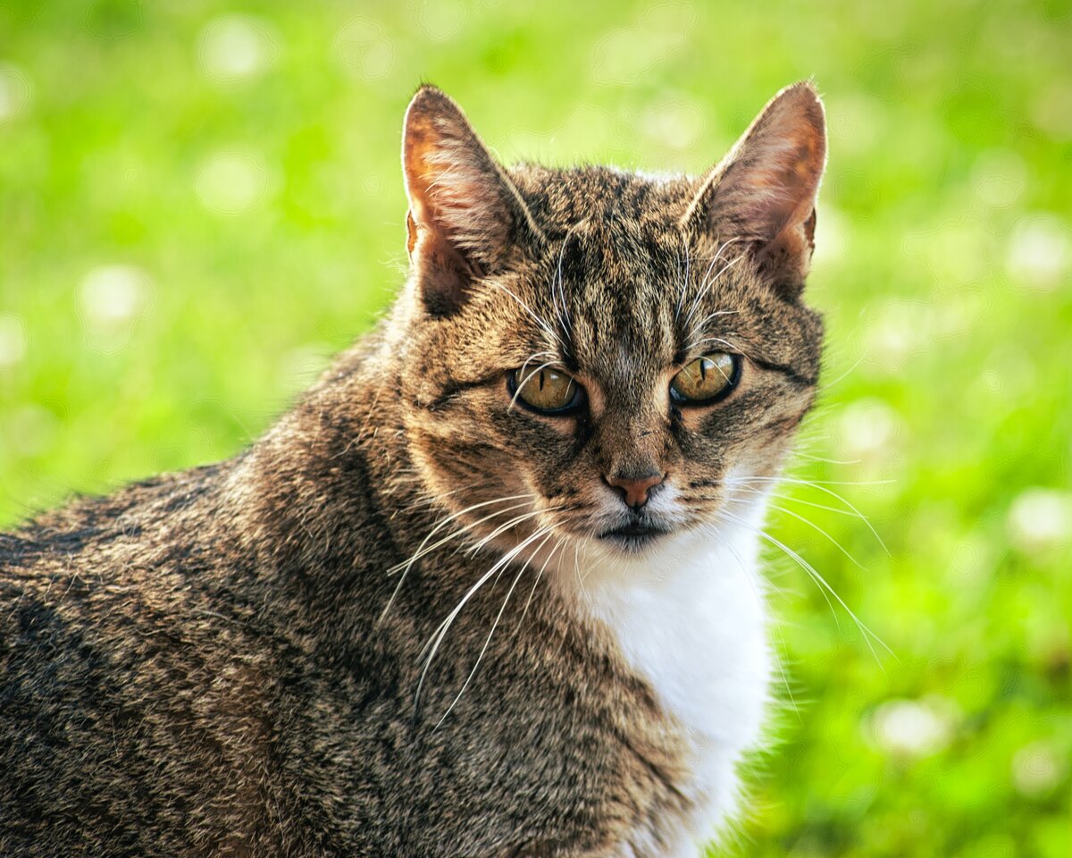 Картинка с бесплатного фотостока https://unsplash.com, автор Marek Syroka