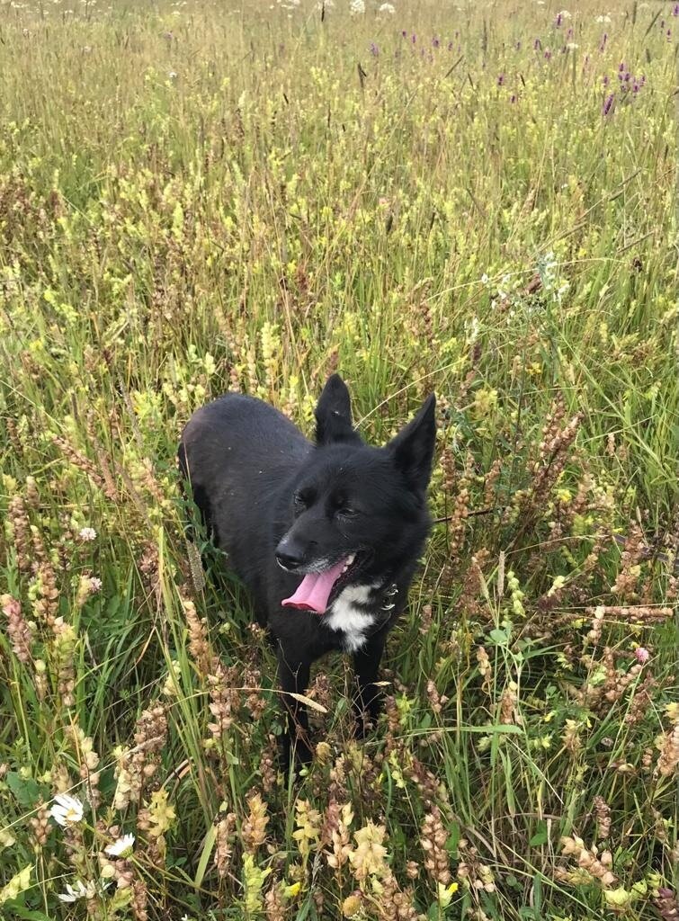 Фото Можайского приюта