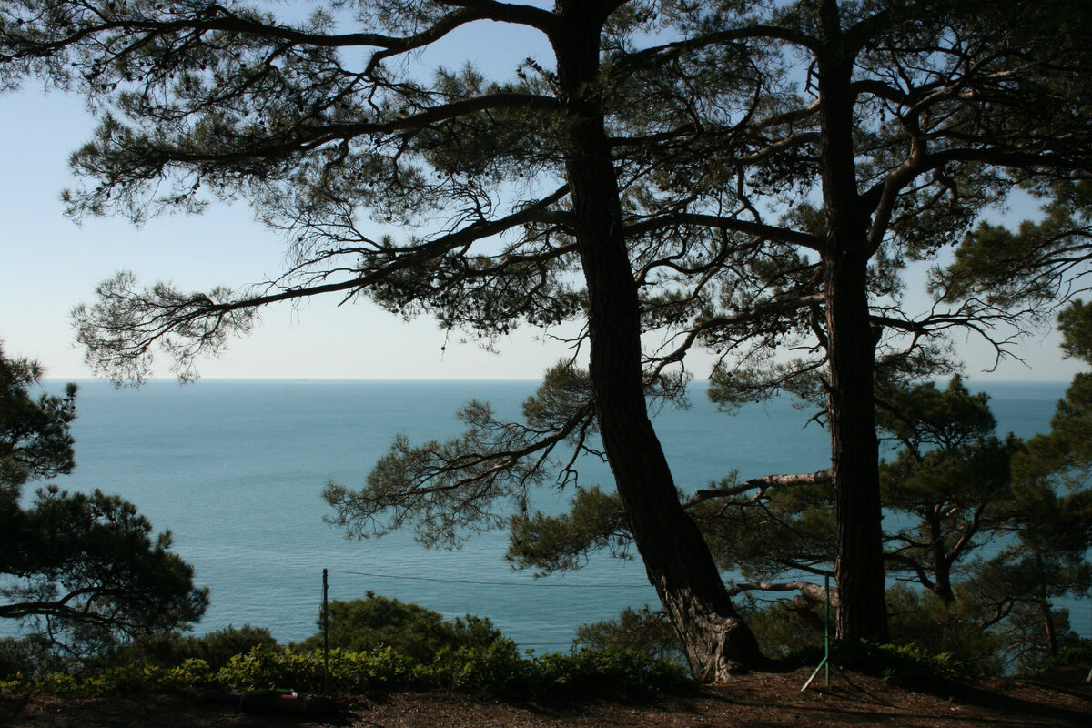 © Victoria Tyur - Unsplash