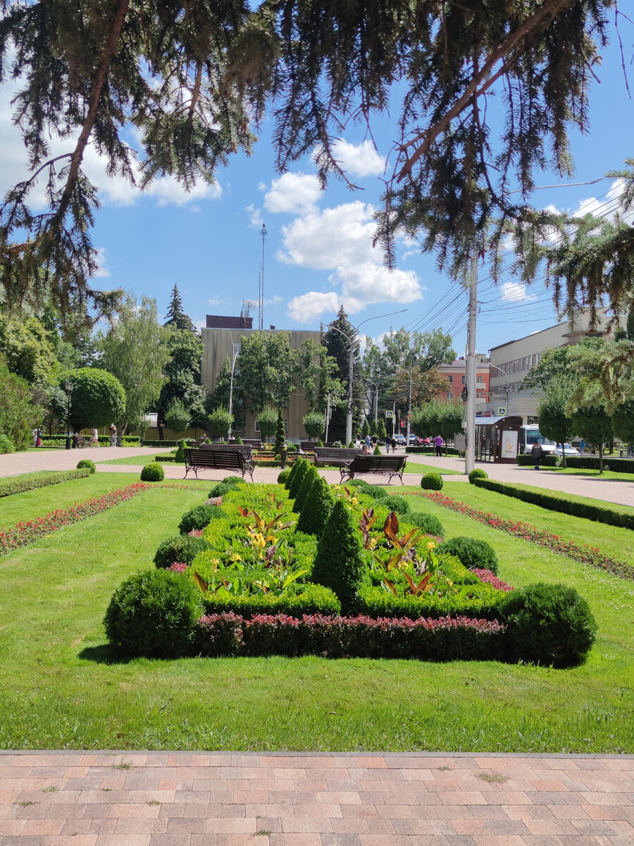 Еще один повтор - туи шариками, пирамидками, барбарисы, каны, самшит