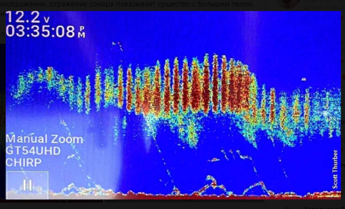изображение на сонаре скрин автора 