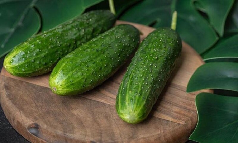 Защитить огурцы от пожелтения поможет особый раствор