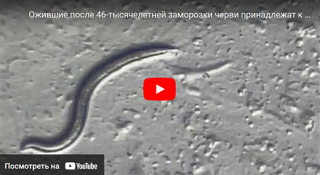 ФОТО: Из цитируемого источника