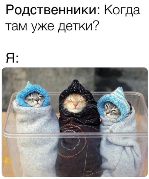 Когда котики заменили детей!