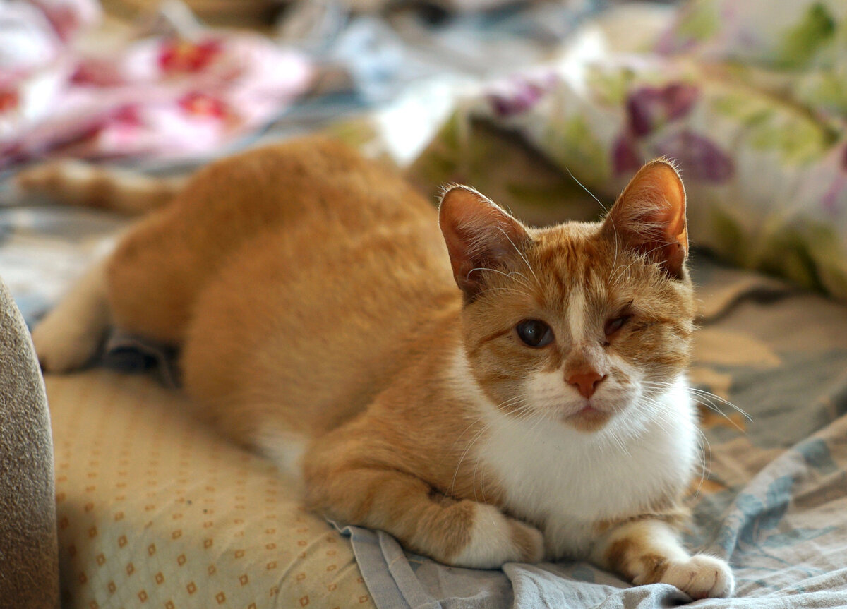 Фото из семейного архива