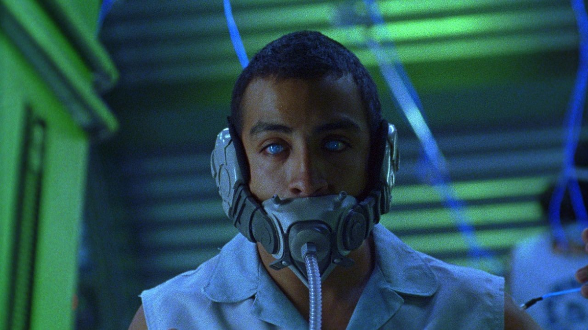 Торговец сном (2008) Maya Entertainment 