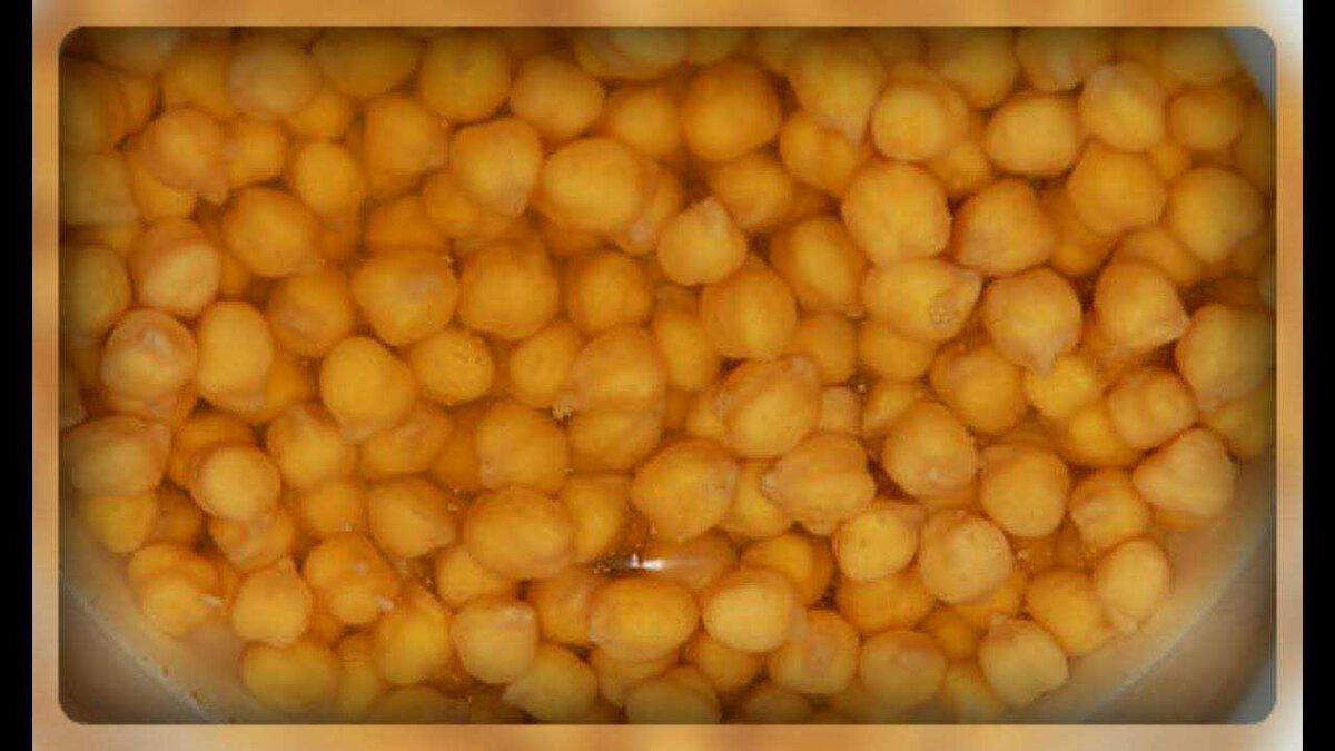 Фото из свободных источников.