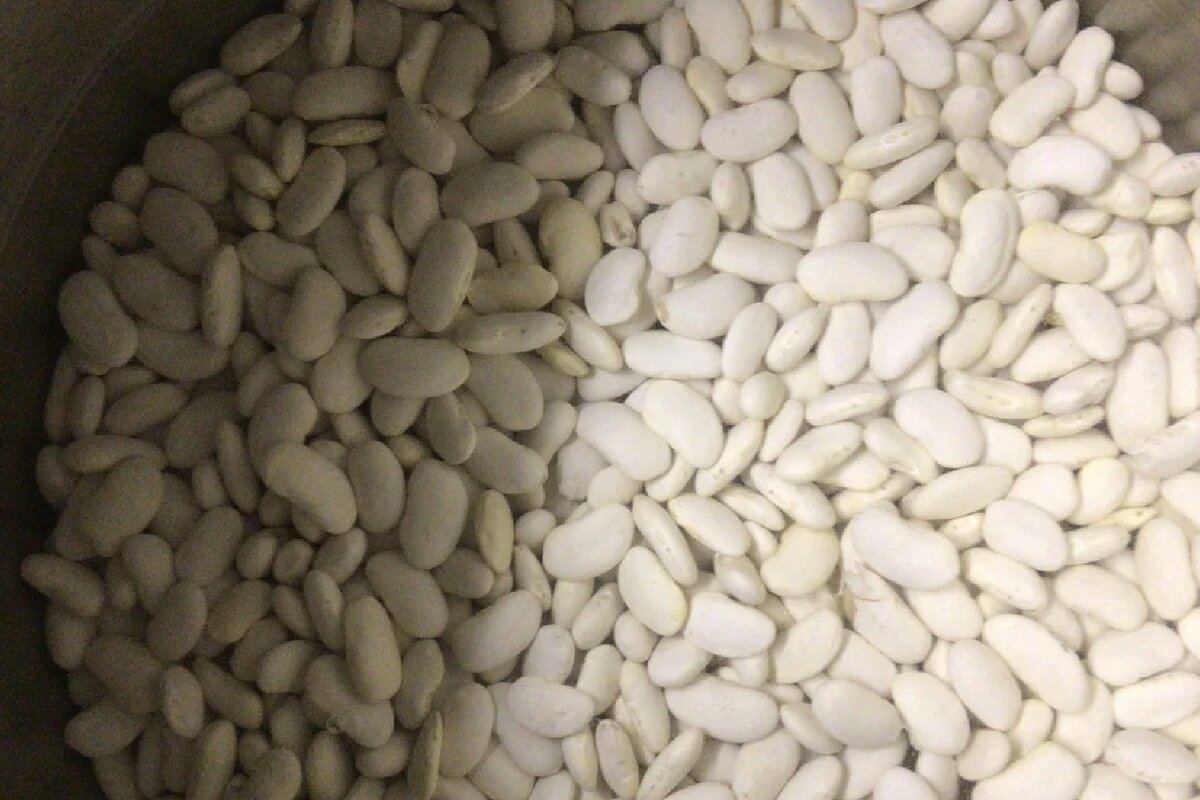  Варим фасоль