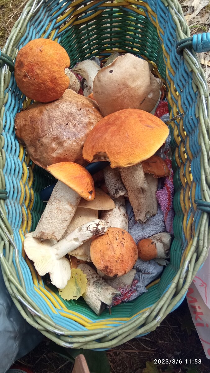 Это не всё, фоткала до. 