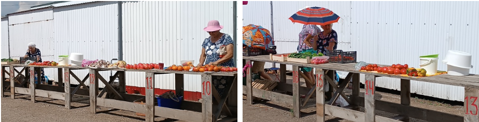 Рынки башкортостана. Необычные рынки Башкирия. Рынок Башкирия. ЛЦ Башкирия базар №1