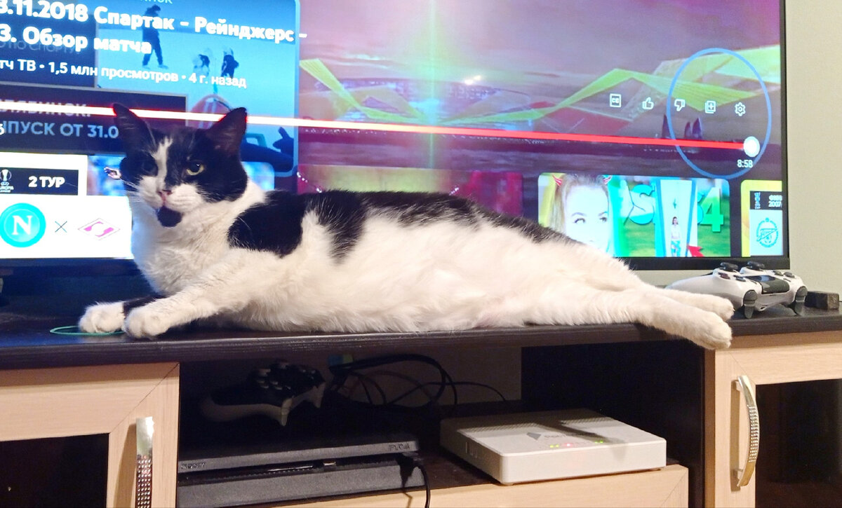 Геральт, защищен от перенапряжения, потому что он котик