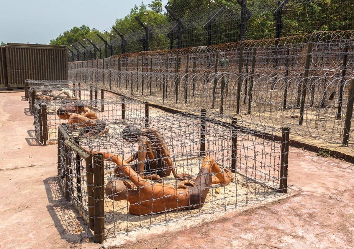 Источник Яндекс Картинки.