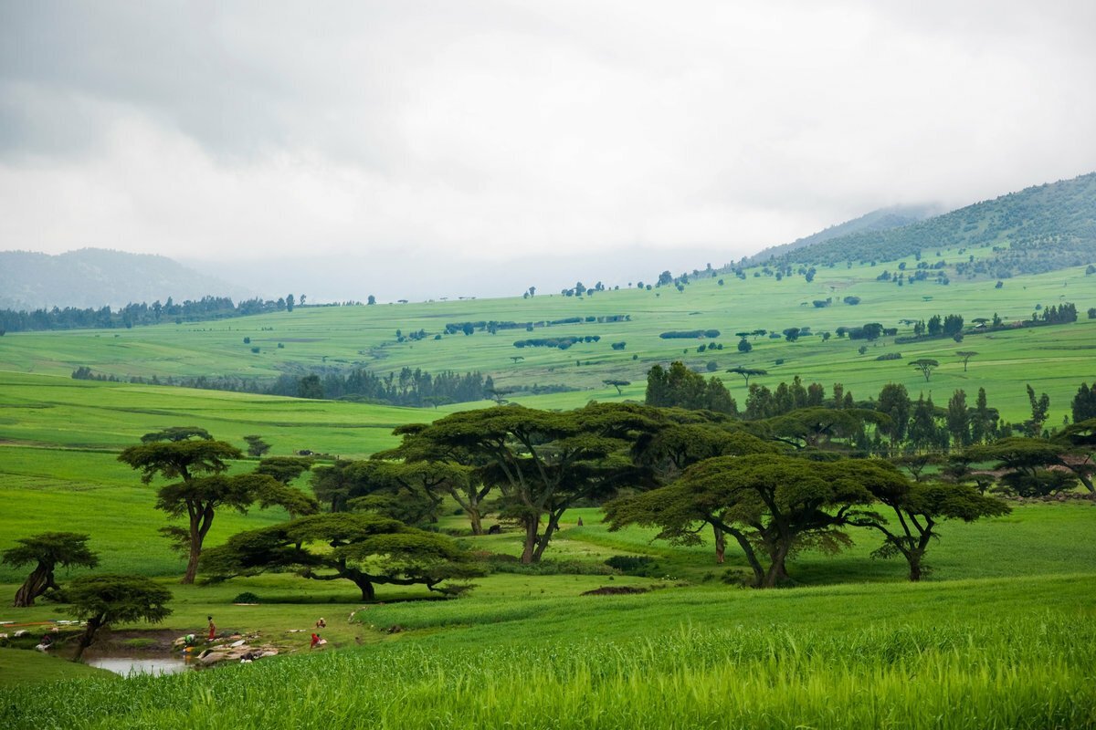 Land country. Аддис Абеба природа. Эфиопия ландшафт. Абиссиния Эфиопия. Парк Харгейса.