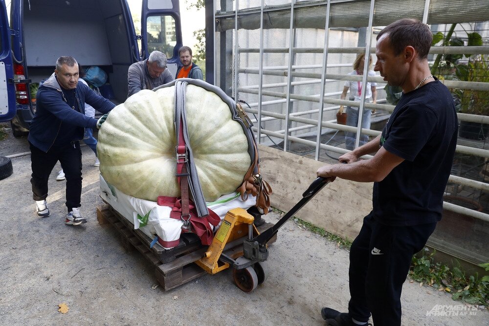    Фото:  АиФ/ Игорь Харитонов