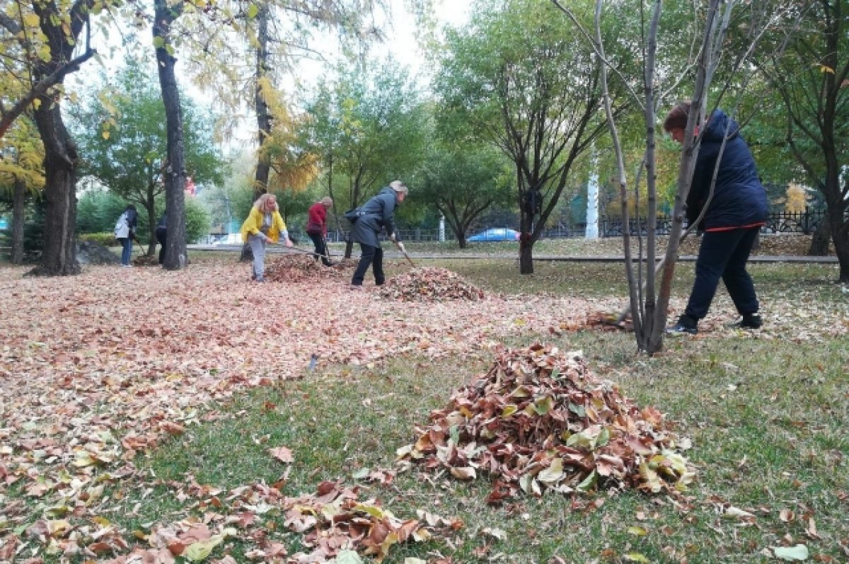    В Омске начался осенний месячник по уборке и благоустройству территорий