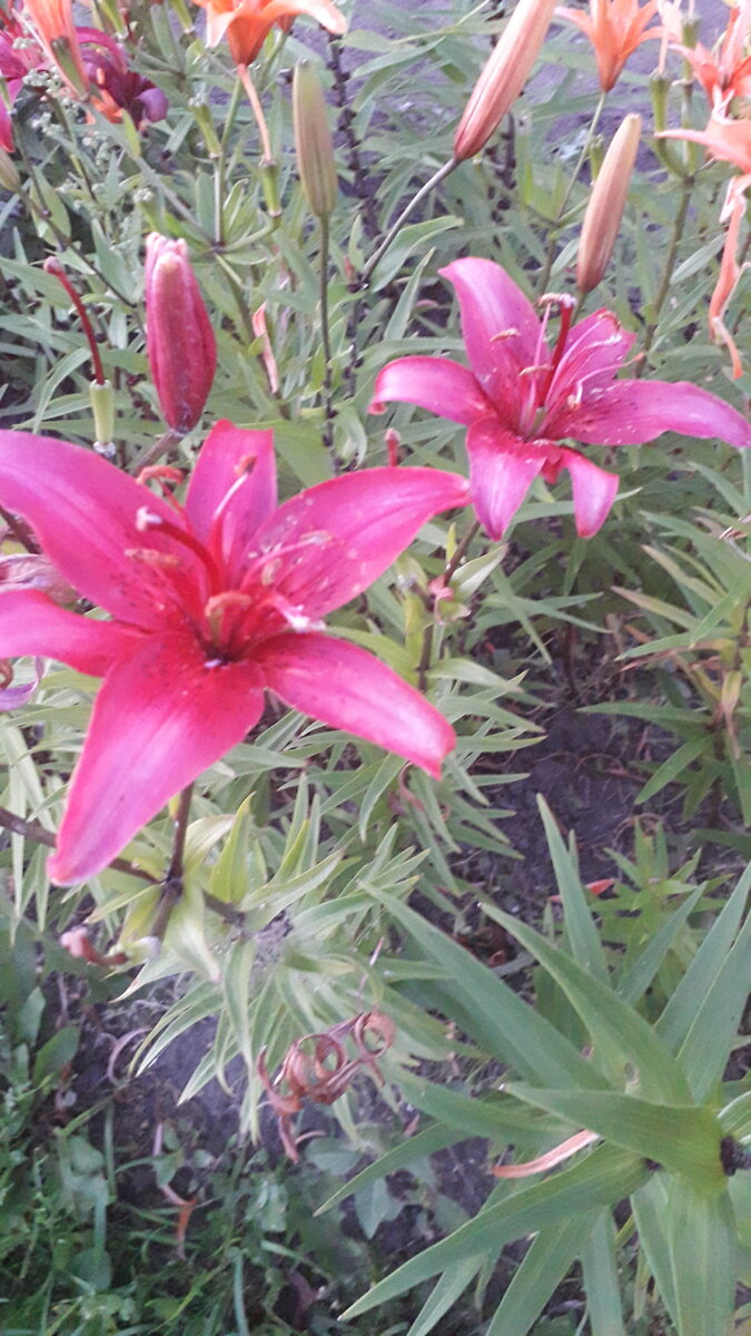 Уже ближе к осени.