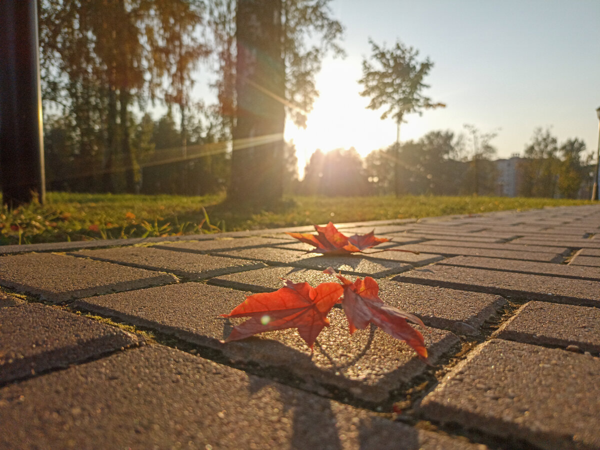 Осень на городской улице