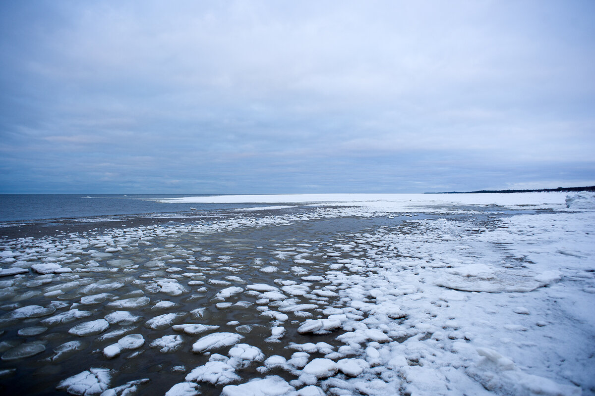 белое море в архангельске