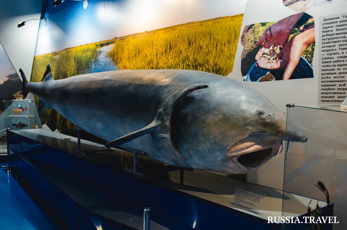 Национальный туристический портал Russia.Travel